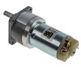 Brushed DC Motor with Gearbox 60:1 24V 200Nmm 74mm